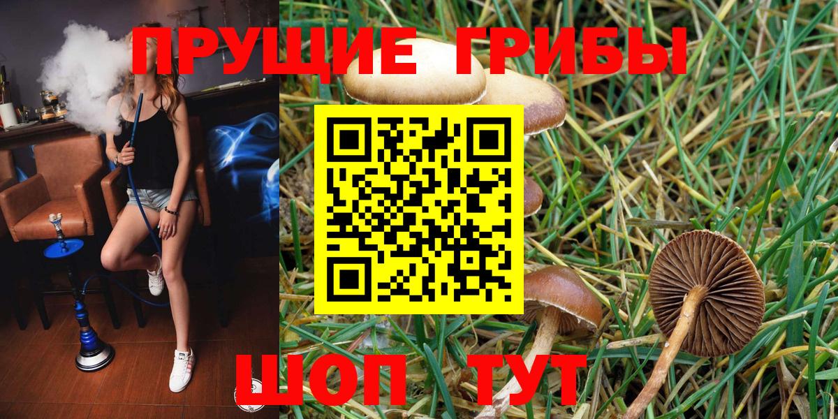 Псилоцибиновые грибы ЛСД Энгельс